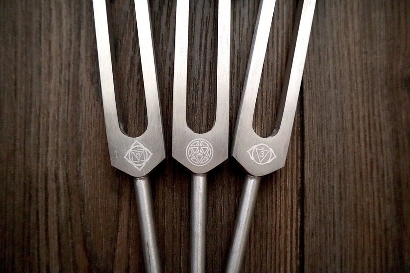 RV Medics' Professionally Tuned .25 8pc Chakra Tuning Fork Set - Silver - Root to Crown Chakras - Attenuator Extenders - Biofield