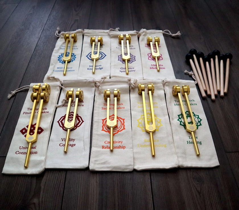 12pc Song of the Spine Tuning Fork Set Professionally Tuned .25 - Bio-field - Organs, Tissue, and Cells, Sound Vibration, Bag