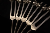 RV Medics' Professionally Tuned .25 15pc Human Biology Tuning Fork Set - Organs Tissue Cells Sound Vibration, Bio-field, Carry Bag