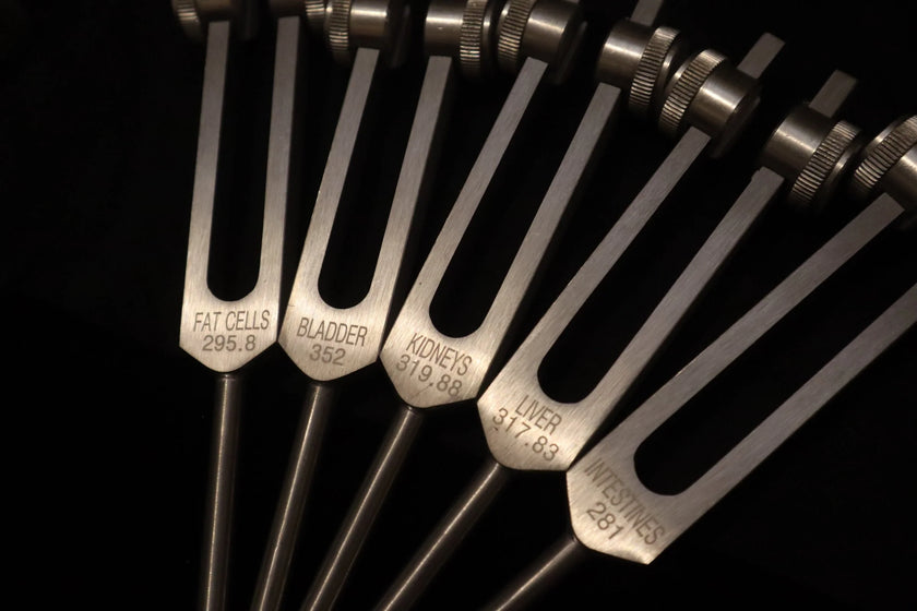 RV Medics' Professionally Tuned .25 15pc Human Biology Tuning Fork Set - Organs Tissue Cells Sound Vibration, Bio-field, Carry Bag