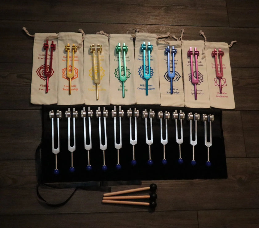19pc Chakra and Planetary Tuning Fork - Professionally Tuned .25 - Weighted, Astrology, Chakras, Sound Vibration, Bio-field
