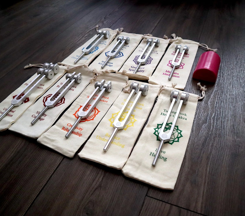 RV Medics' Professionally Tuned .25 8pc Chakra Tuning Fork Set - Silver - Root to Crown Chakras - Attenuator Extenders - Biofield