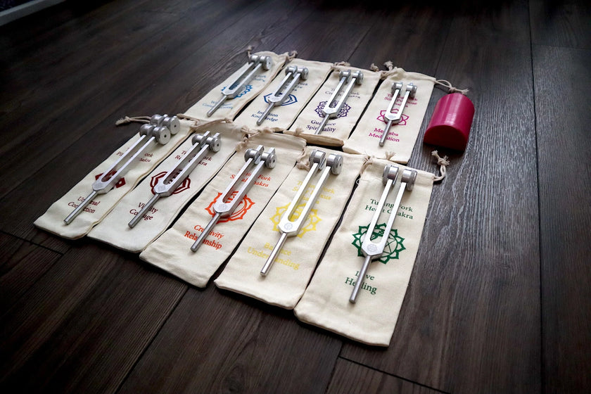 RV Medics' Professionally Tuned .25 8pc Chakra Tuning Fork Set - Silver - Root to Crown Chakras - Attenuator Extenders - Biofield