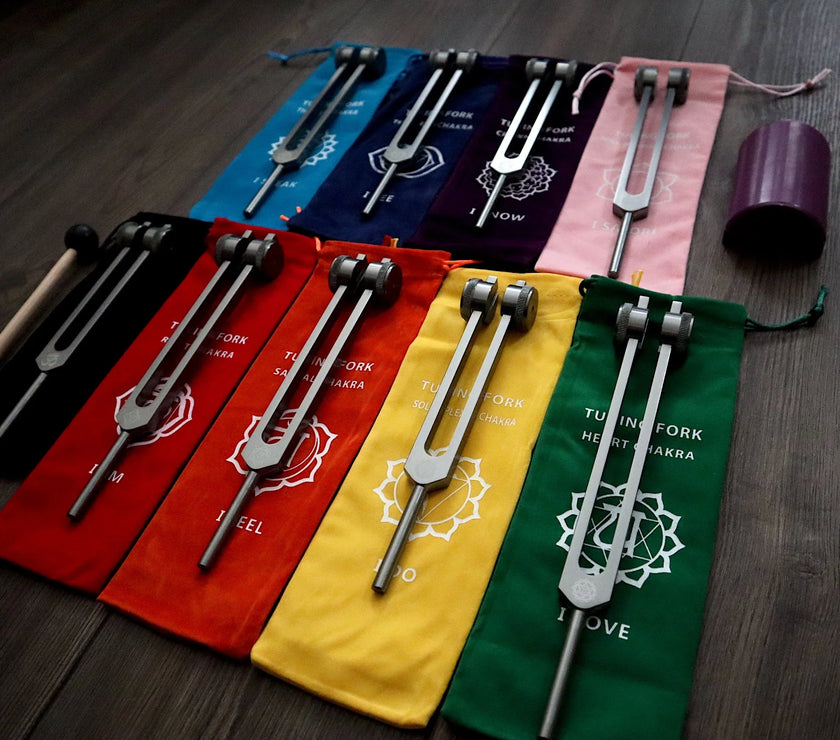 RV Medics' Professionally Tuned .25 Secret Solfeggio - Classic 9pc Set - Limited Edition Gray, Chakra Printed Engrams, Biofield,
