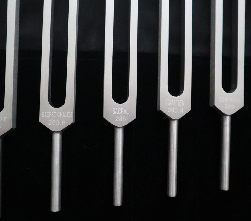Chromatic Scale of The Perfect Fifth 13pc Tuning Fork Set - Professionally Tuned .25 Hz, Unweighted, Bio-field, Sound Vibration