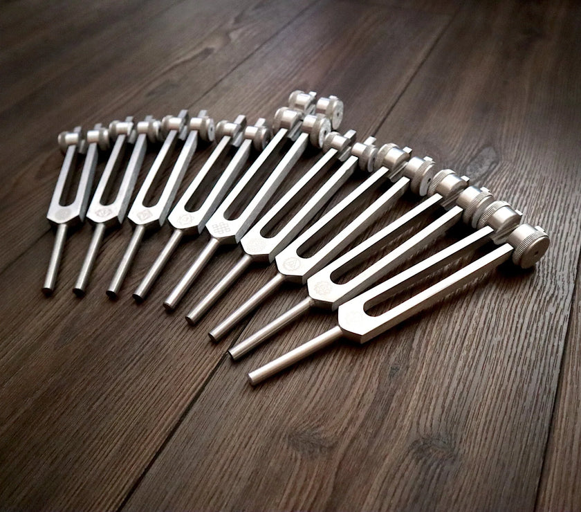 24pc Human Biology and Secret Solfeggio Tuning Fork - Professionally Tuned .25 - Gold, Silver Bio-field Sound Vibration