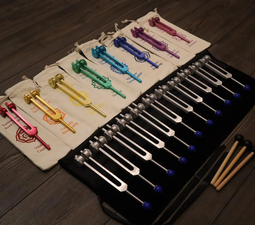 19pc Chakra and Planetary Tuning Fork - Professionally Tuned .25 - Weighted, Astrology, Chakras, Sound Vibration, Bio-field