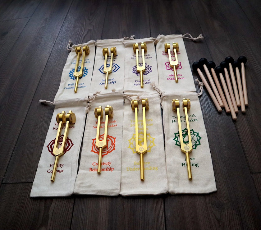 12pc Song of the Spine Tuning Fork Set Professionally Tuned .25 - Bio-field - Organs, Tissue, and Cells, Sound Vibration, Bag
