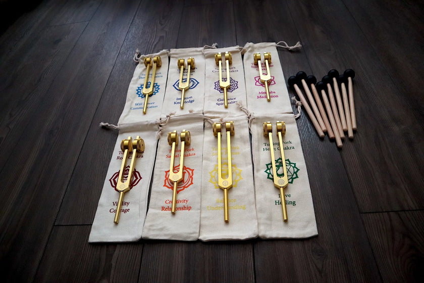 12pc Song of the Spine Tuning Fork Set Professionally Tuned .25 - Bio-field - Organs, Tissue, and Cells, Sound Vibration, Bag