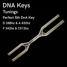DNA Kit ( 288Hz/ 432hz) Two Frequencies Giant Tuning Fork/Big Forks